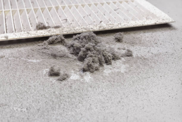Best Ventilation Cleaning Services  in High Ridge, MO