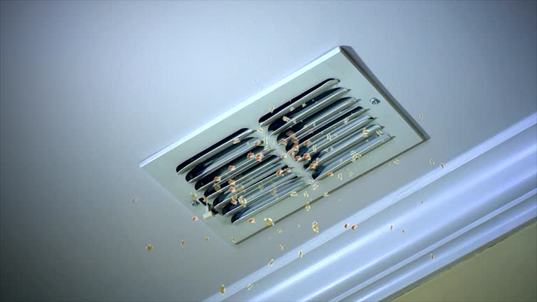 Home Air Vent Cleaning in High Ridge, MO